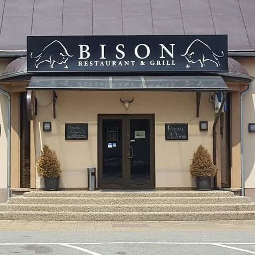 Bison
